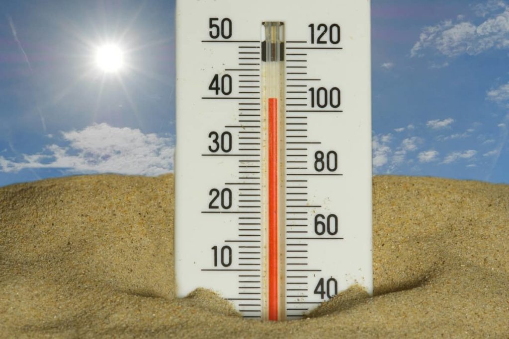 caldo record